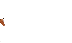 82.gif