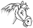 paard2.gif
