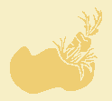 schoen_klomp07.gif