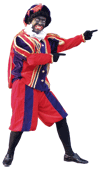 w215h250_piet-homepage.gif